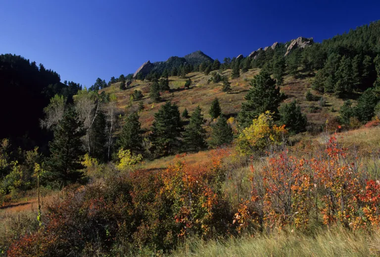 NCAR in fall