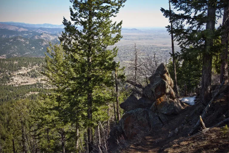 Ranger Trail view