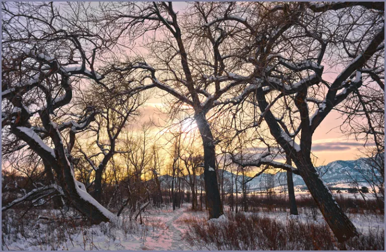 Along South Boulder Creek Trail in winter