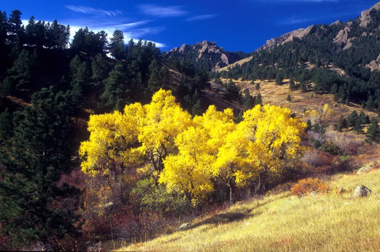Fall views in Skunk Canyon