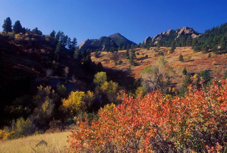 Skunk Canyon in fall