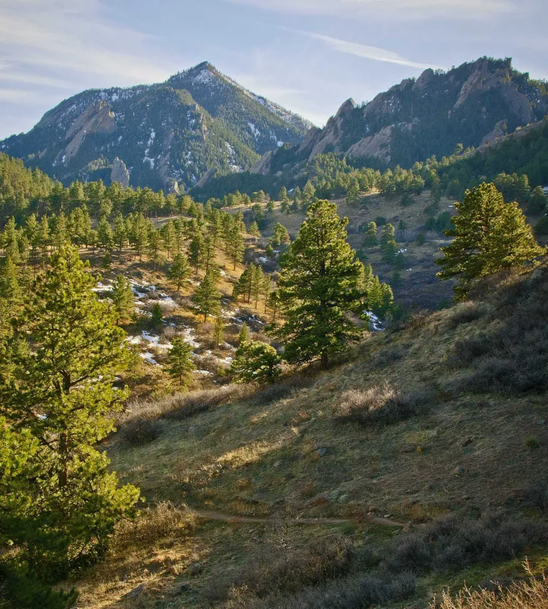 Skunk Canyon