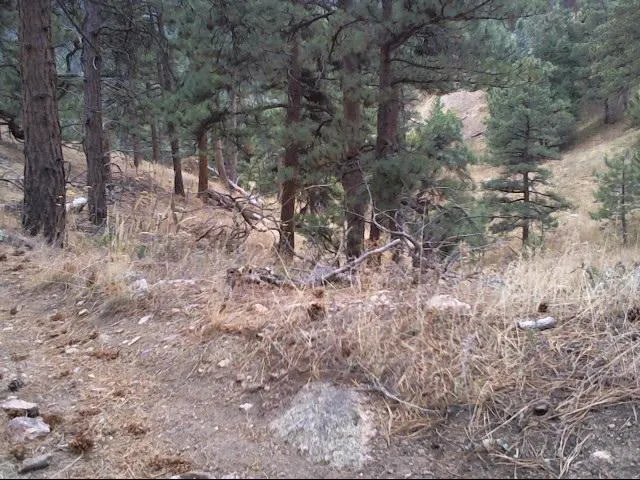 Plains Overlook Trail
