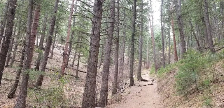 Ranger Trail