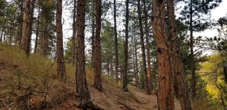 Red Rocks Spur Trail
