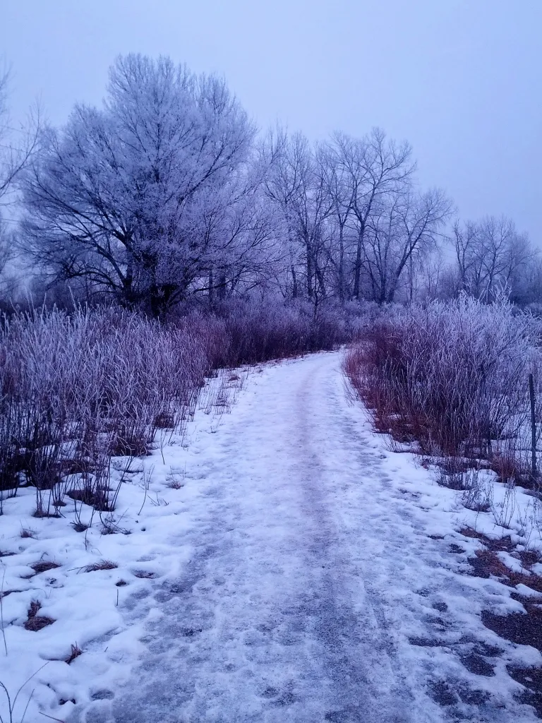 South Boulder Creek Trail in winter