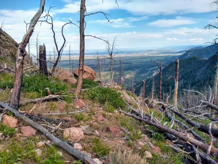 South Boulder Peak Trail