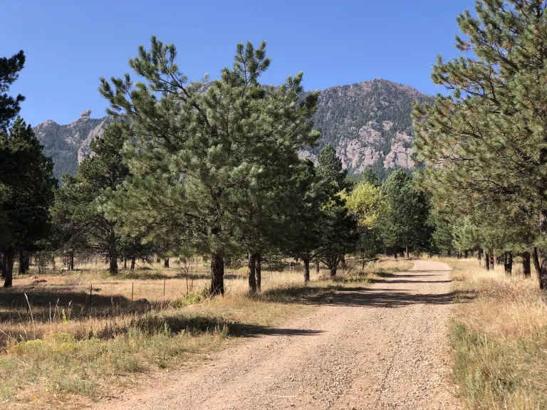 South Fork Shanahan Trail