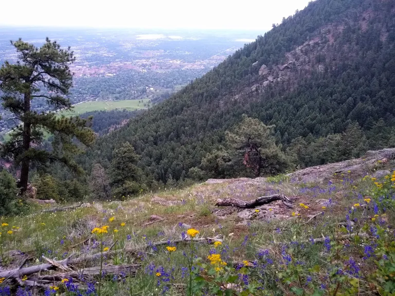 Saddle Rock view