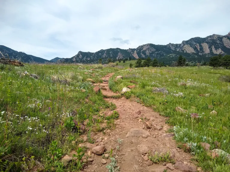 South Boulder Creek West in spring