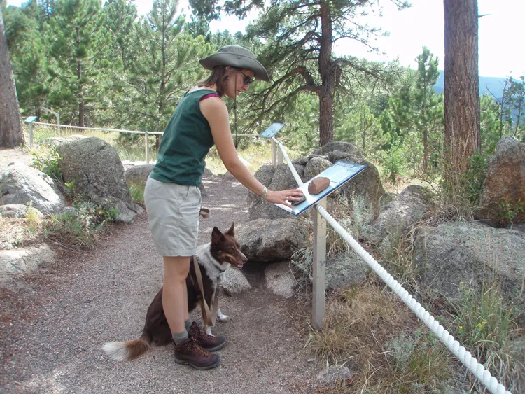 Sensory Trail