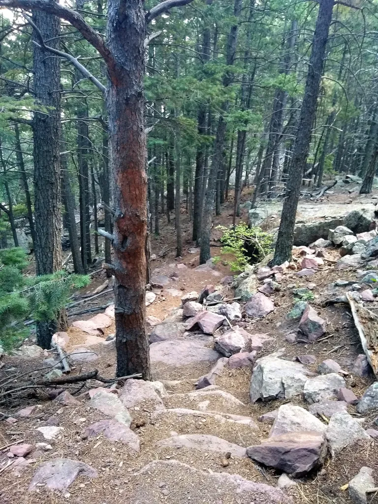 Shadow Canyon Trail