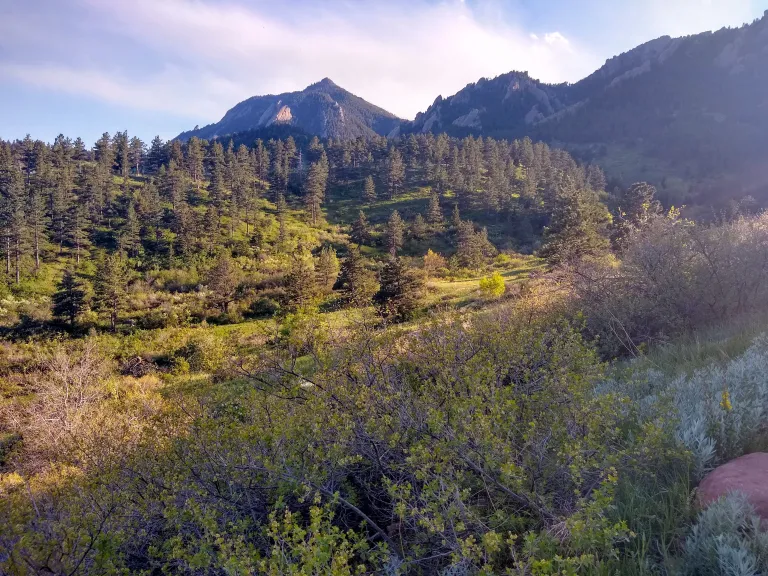 Skunk Canyon in spring