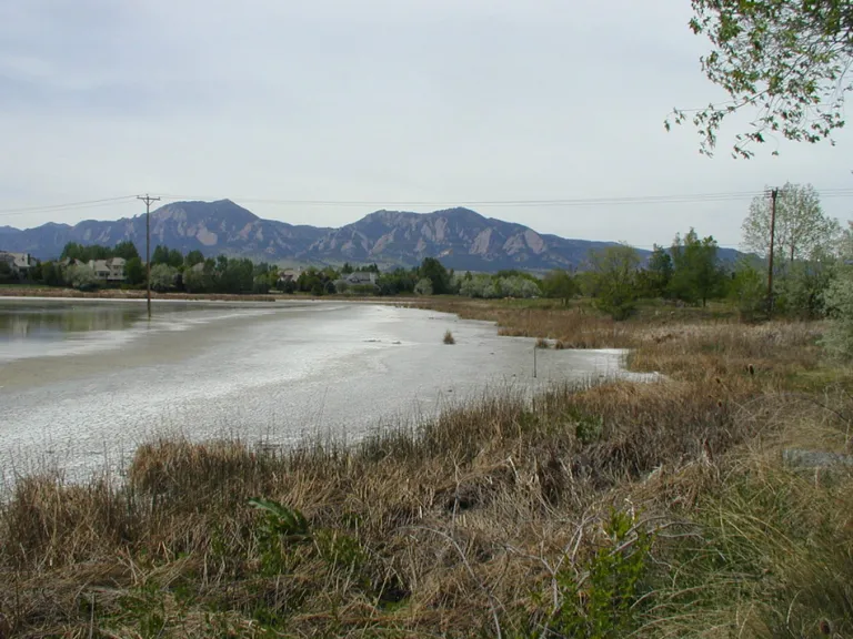 Sombrero Marsh in spring