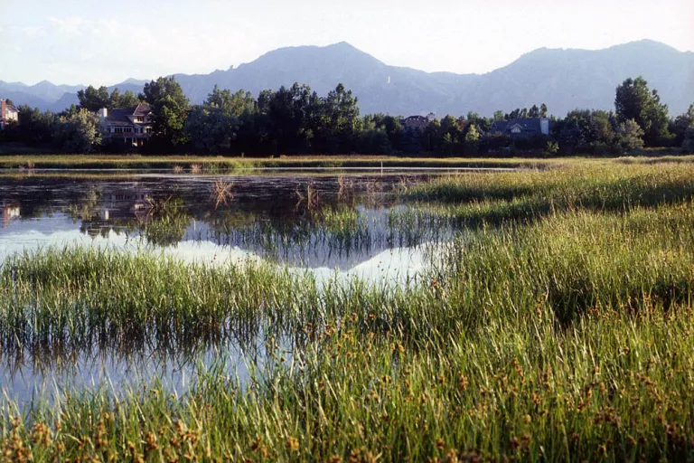 Sombrero Marsh