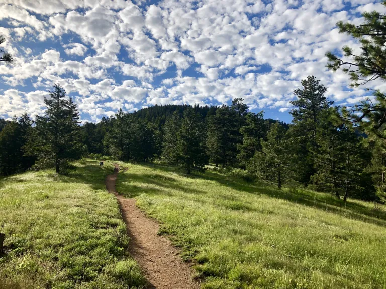 Tenderfoot Trail