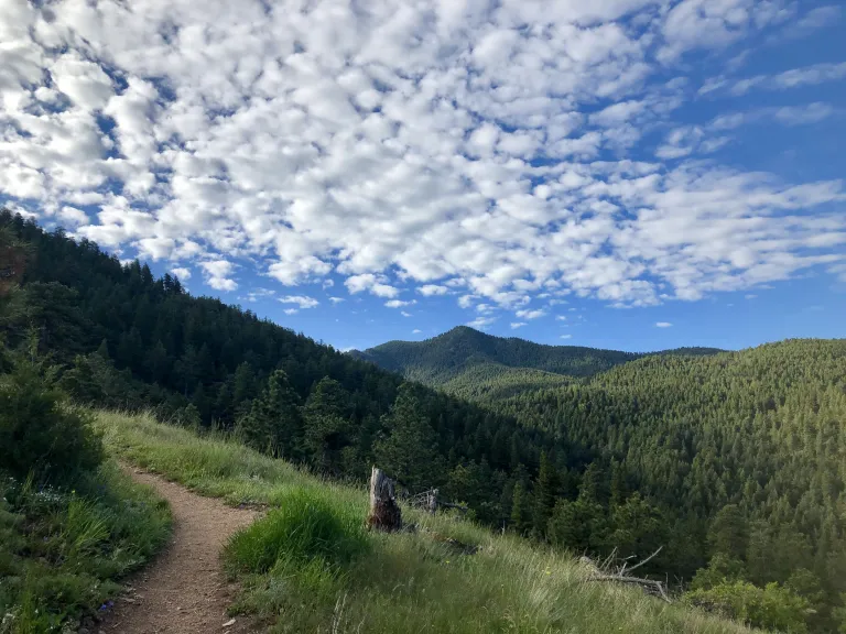 Tenderfoot Trail