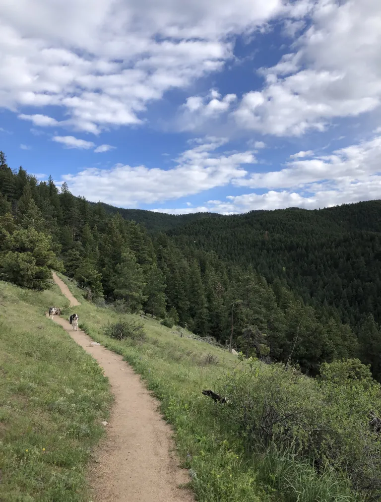 Tenderfoot Trail