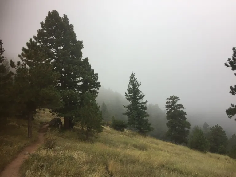 Tenderfoot Trail in the clouds