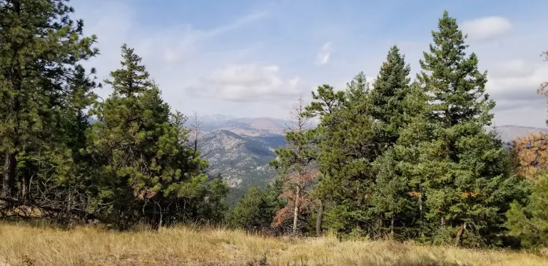 Ute Trail view