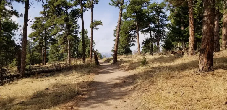 Ute Trail