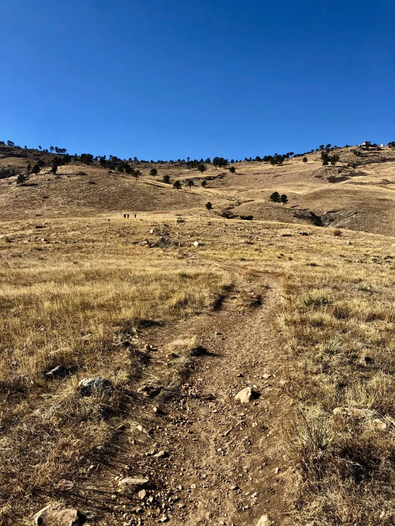 Wonderland Hill Trail