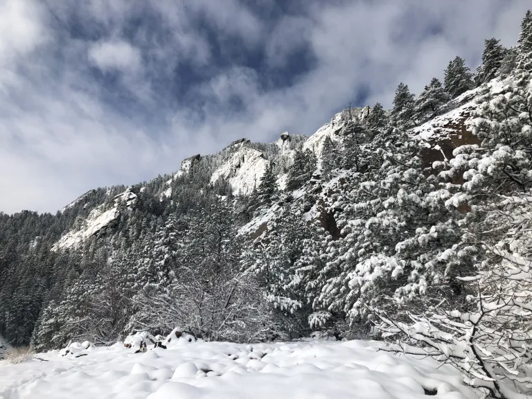 Wood's Quarry in winter