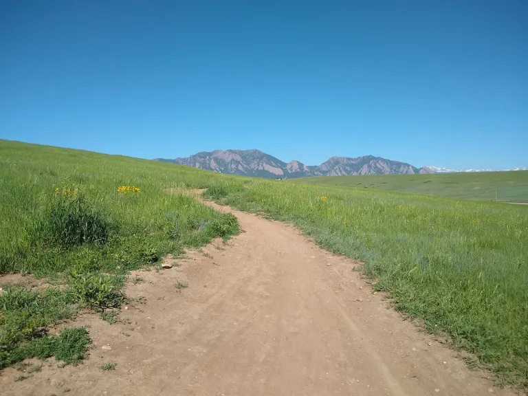 Cowdrey Draw Trail in spring