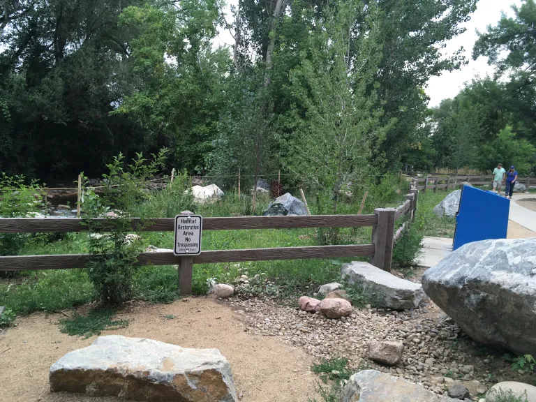 Eben G. Fine Park Stream Bank Restoration After Photo