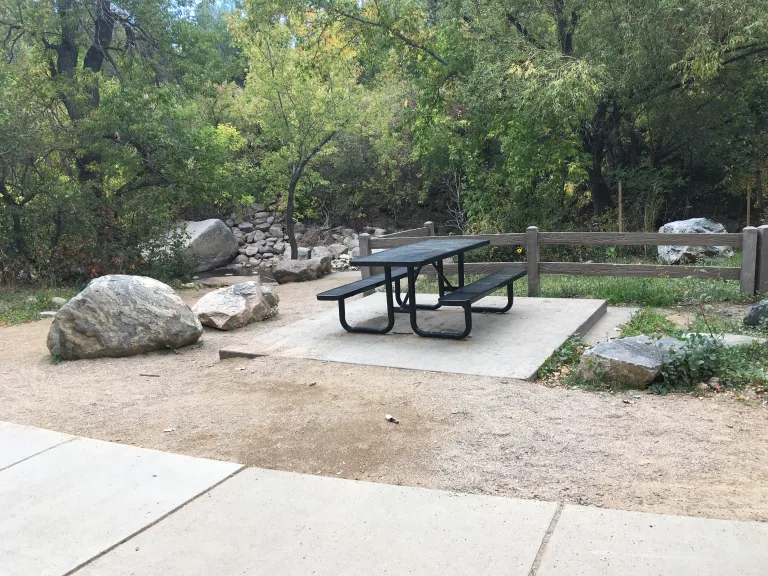 Eben G. Fine Park Stream Bank Restoration After Photo