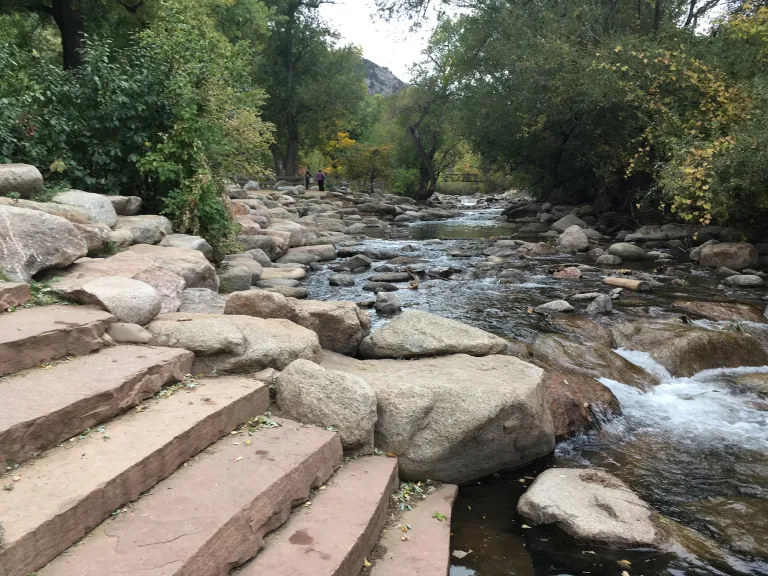 Eben G. Fine Park Stream Bank Restoration After Photo
