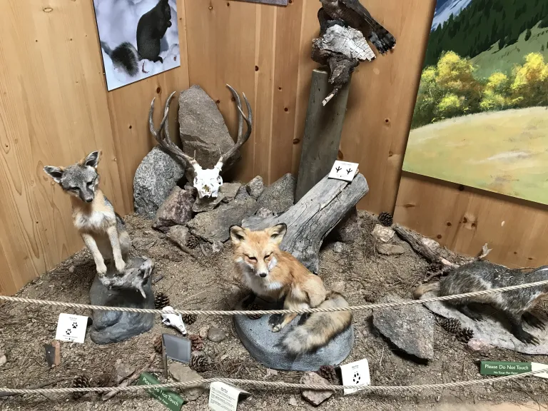 Display at the Flagstaff Nature Center