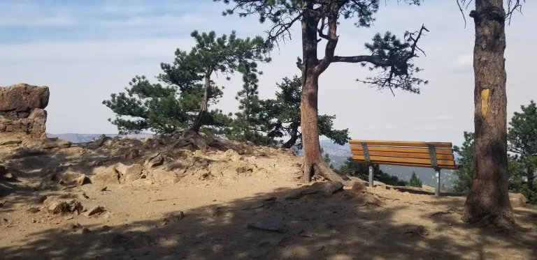 Bench at Lost Gulch Overlook