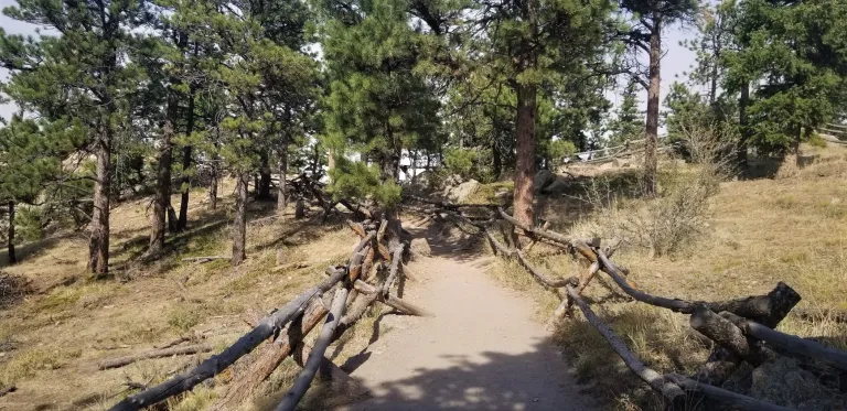 Trail at Lost Gulch Overlook