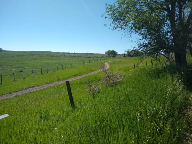 Mayhoffer-Singletree Trail from S. 66th St. in spring