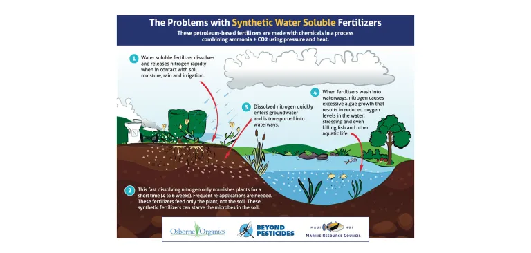 Infographic about the problems with synthetic nitrogen fertilizer