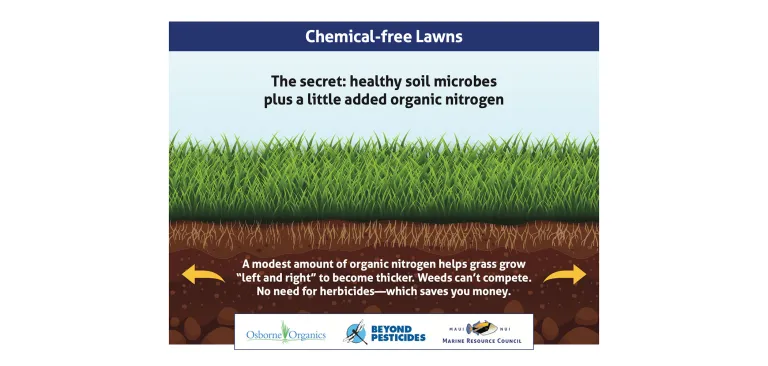 Infographic about chemical-free lawns