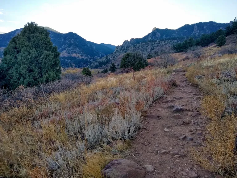 Homestead Trail