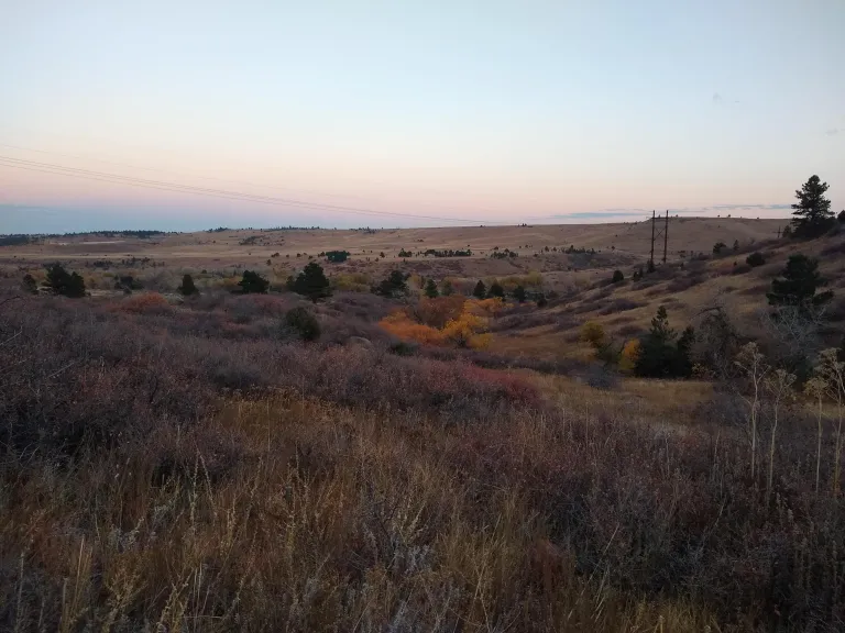Looking east on Towhee Trail