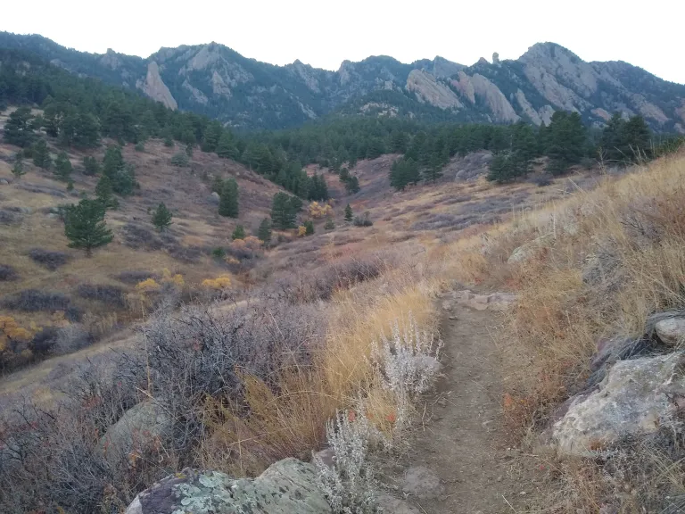 Towhee Trail in fall