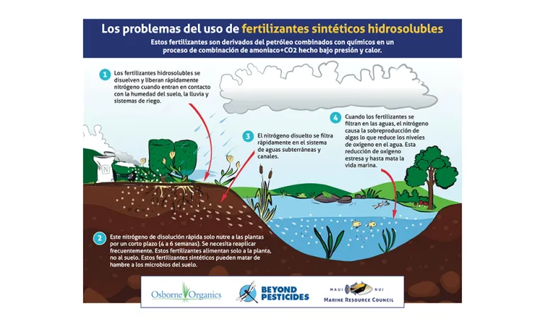 Infografía sobre los problemas de los fertilizantes nitrogenados sintéticos