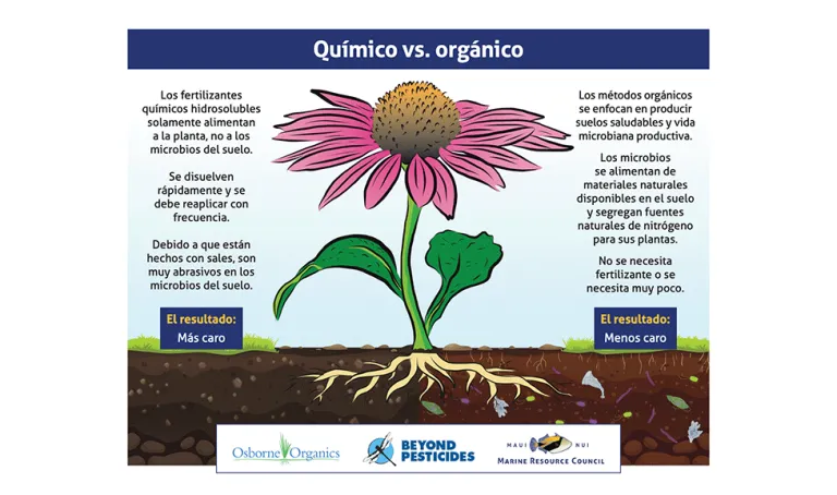  Infografía que muestra la diferencia entre fertilizantes químicos y orgánicos.