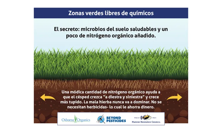 Infografía que muestra cómo los céspedes orgánicos crean un césped más fuerte