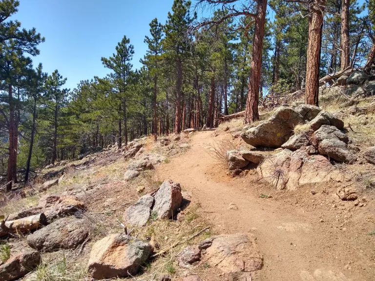 Anemone Loop Trail