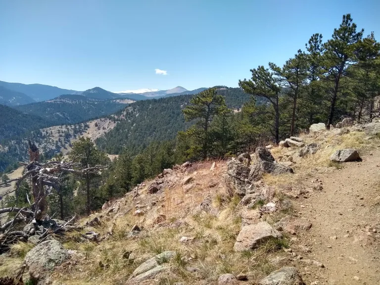 Anemone Loop Trail