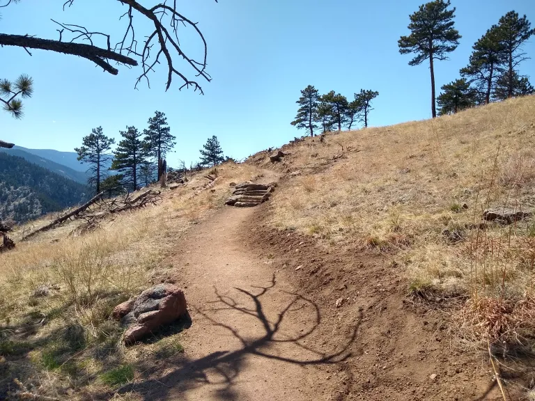 Anemone Loop Trail
