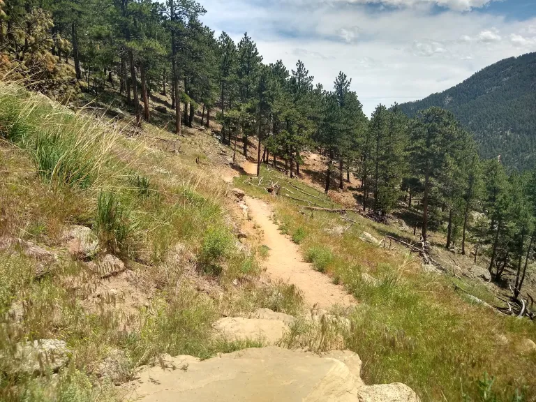 Anemone Loop Trail