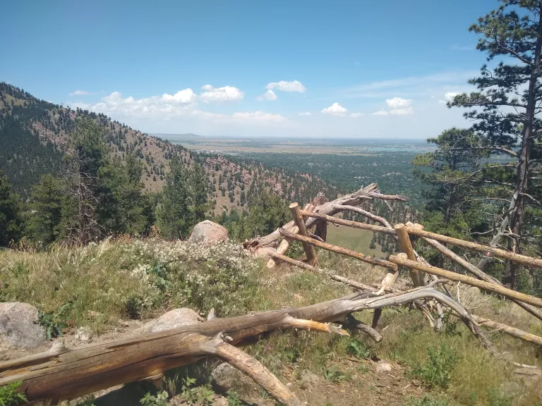 Anemone Loop Viewpoint
