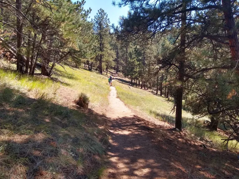 Hikers along the Boy Scout Trail