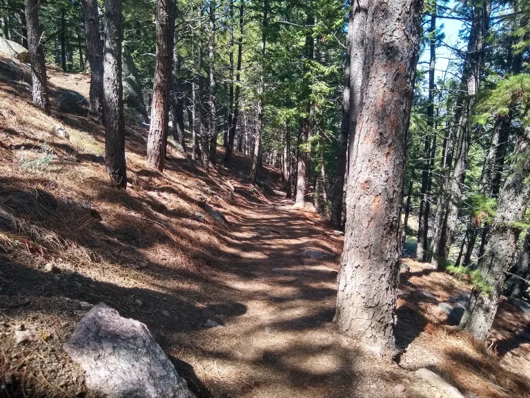 Boy Scout Trail